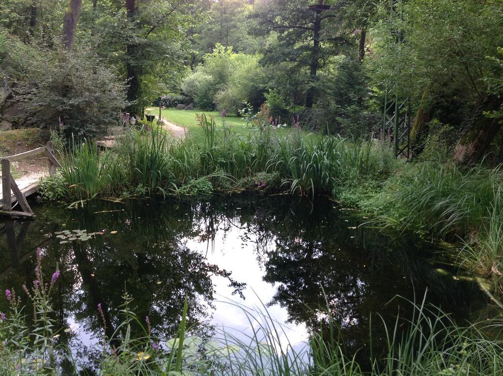 Oeko-Park Panzio, Kemping Es Rendezvenykoezpont Szarvaskő エクステリア 写真