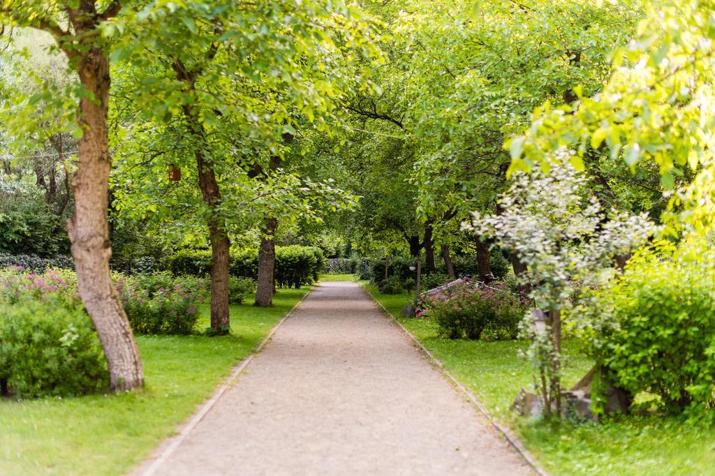 Oeko-Park Panzio, Kemping Es Rendezvenykoezpont Szarvaskő エクステリア 写真