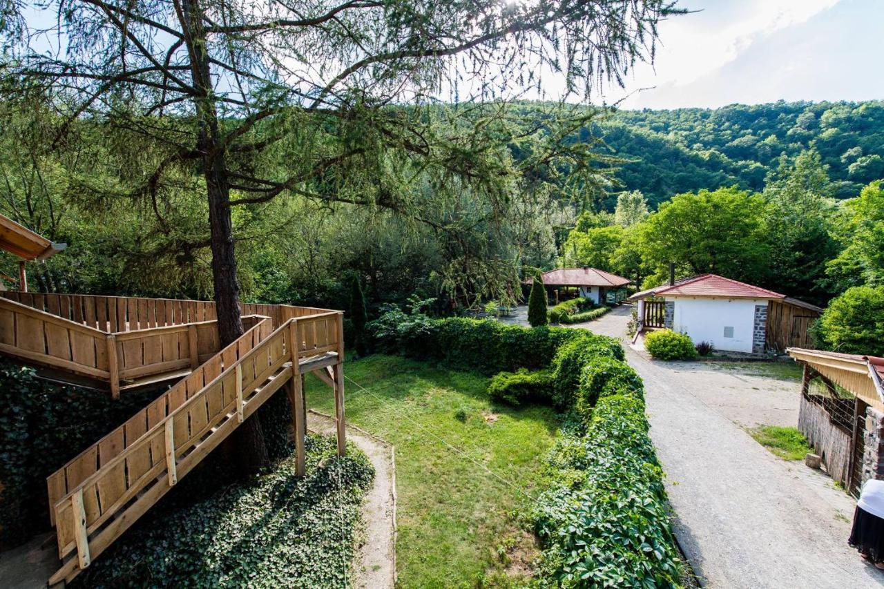 Oeko-Park Panzio, Kemping Es Rendezvenykoezpont Szarvaskő エクステリア 写真